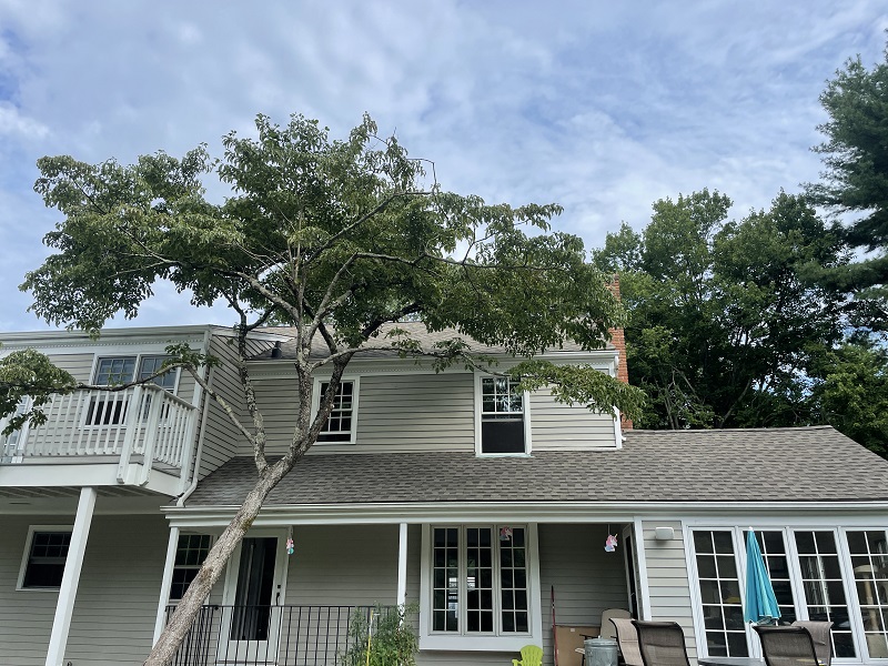 New windows needed in New Canaan